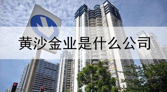 黄沙金业是什么公司