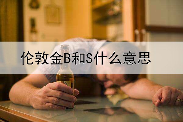 伦敦金B和S什么意思