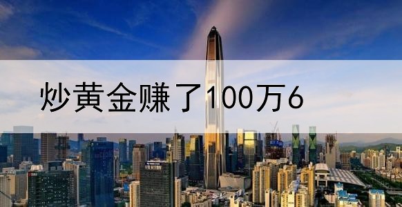 炒黄金赚了100万6