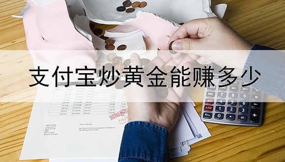 支付宝炒黄金能赚多少