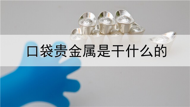 口袋贵金属是干什么的