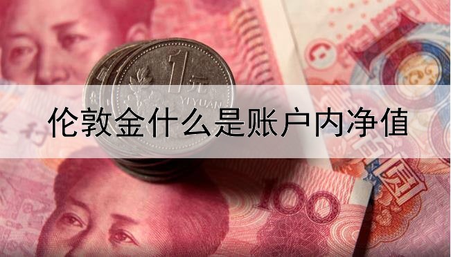 伦敦金什么是账户内净值