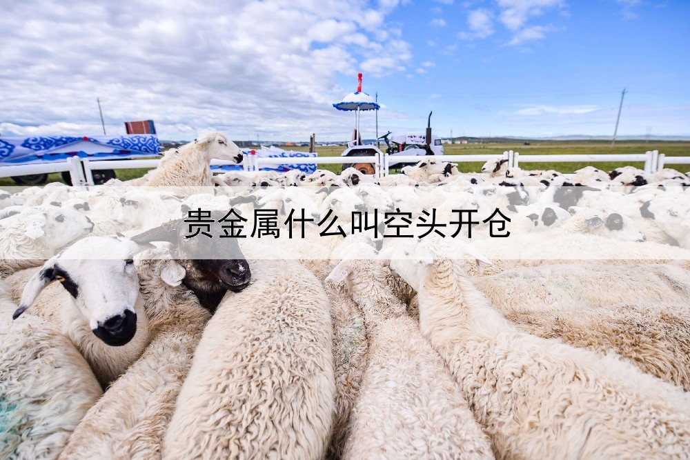 贵金属什么叫空头开仓