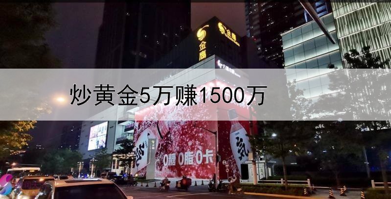 炒黄金5万赚1500万