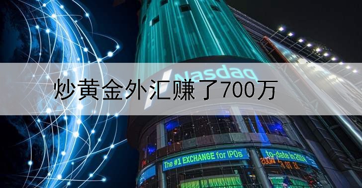 炒黄金外汇赚了700万