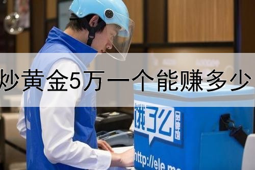 炒黄金5万一个能赚多少