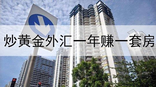 炒黄金外汇一年赚一套房