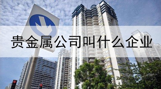  贵金属公司叫什么企业