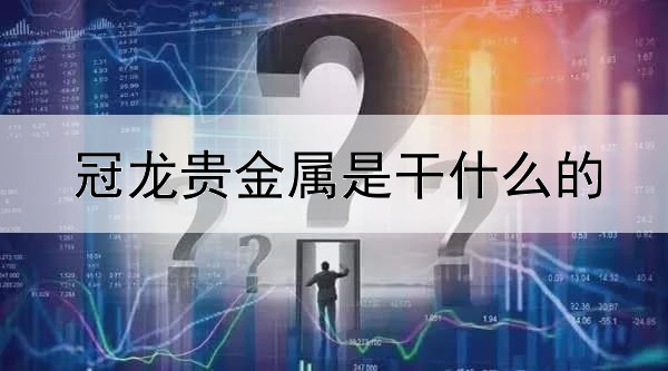 冠龙贵金属是干什么的