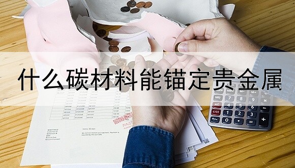 什么碳材料能锚定贵金属