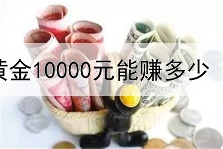 炒黄金10000元能赚多少