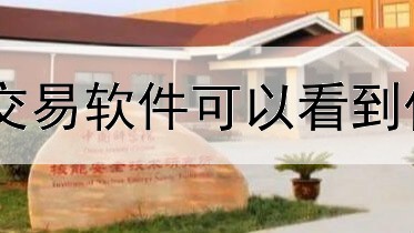  什么交易软件可以看到伦敦金