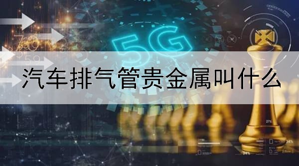 汽车排气管贵金属叫什么