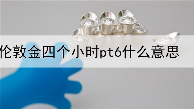 伦敦金四个小时pt6什么意思