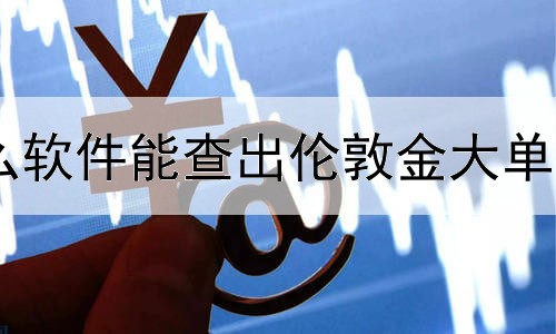 什么软件能查出伦敦金大单净量