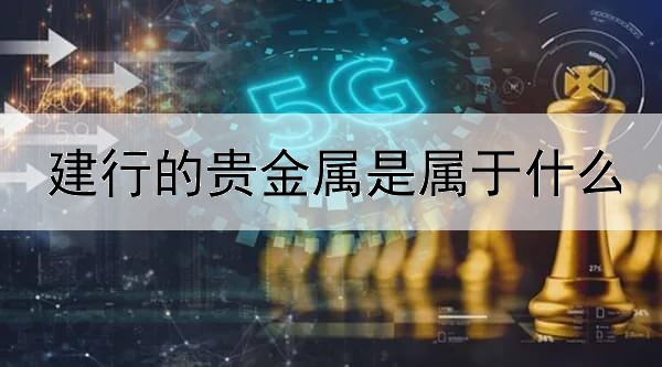 建行的贵金属是属于什么