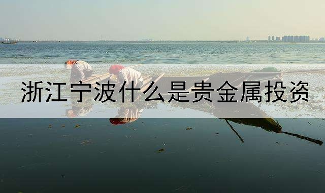 浙江宁波什么是贵金属投资