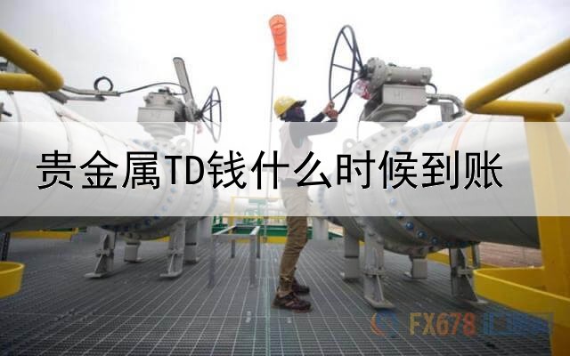 贵金属TD钱什么时候到账