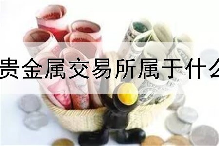 天津贵金属交易所属于什么企业