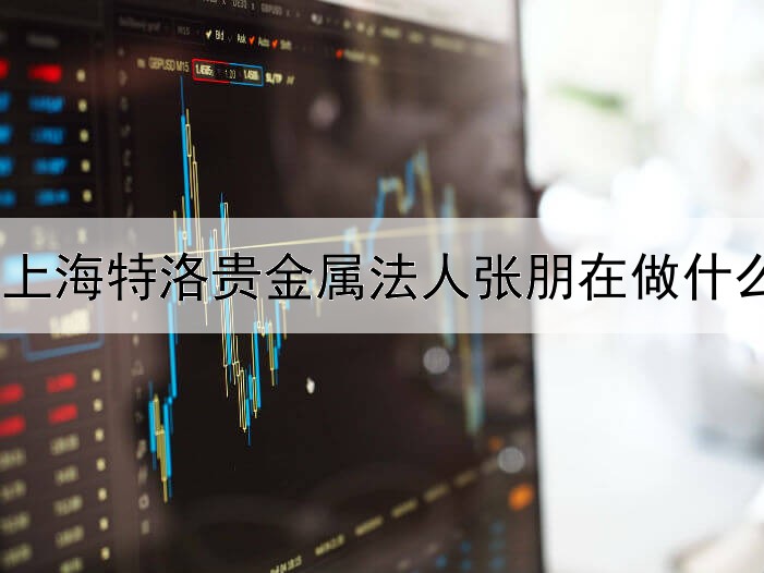 上海特洛贵金属法人张朋在做什么